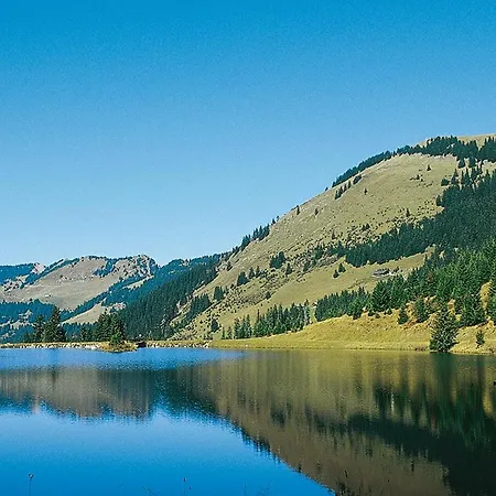 Alpina - Apt - Bo Immobilier * Chatel
